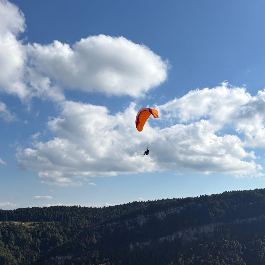 Afternoon Flight from Le Cernil